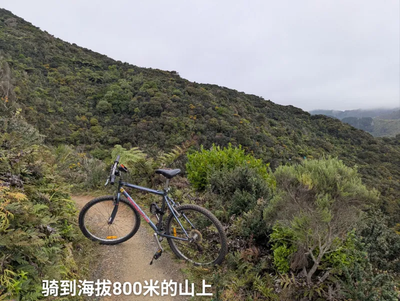 旅居风景