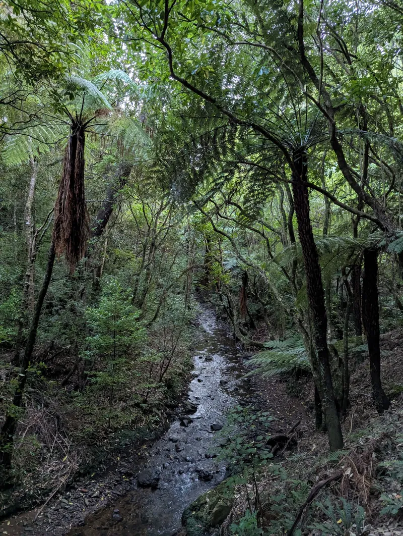 旅居风景