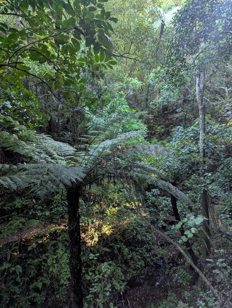 环线徒步风景